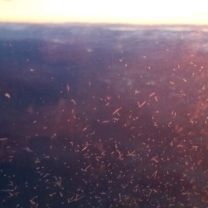 Meet your Posher, Kaelyn